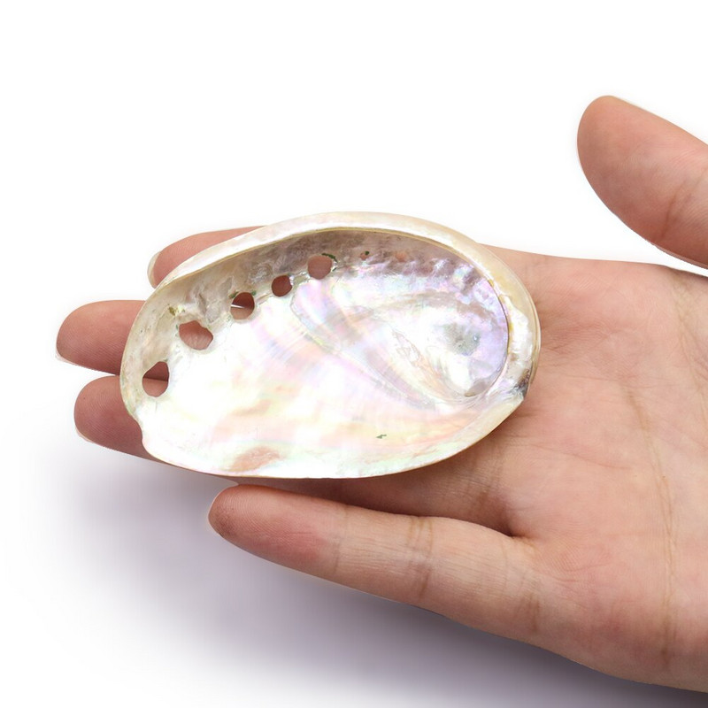 2 db Természetes Abalone Shells Tengeri kagylók Otthon Akvárium Táj barkácsolás Tengeri esküvői jelenet Dekoráció Kézműves gyűjthető ékszertartó