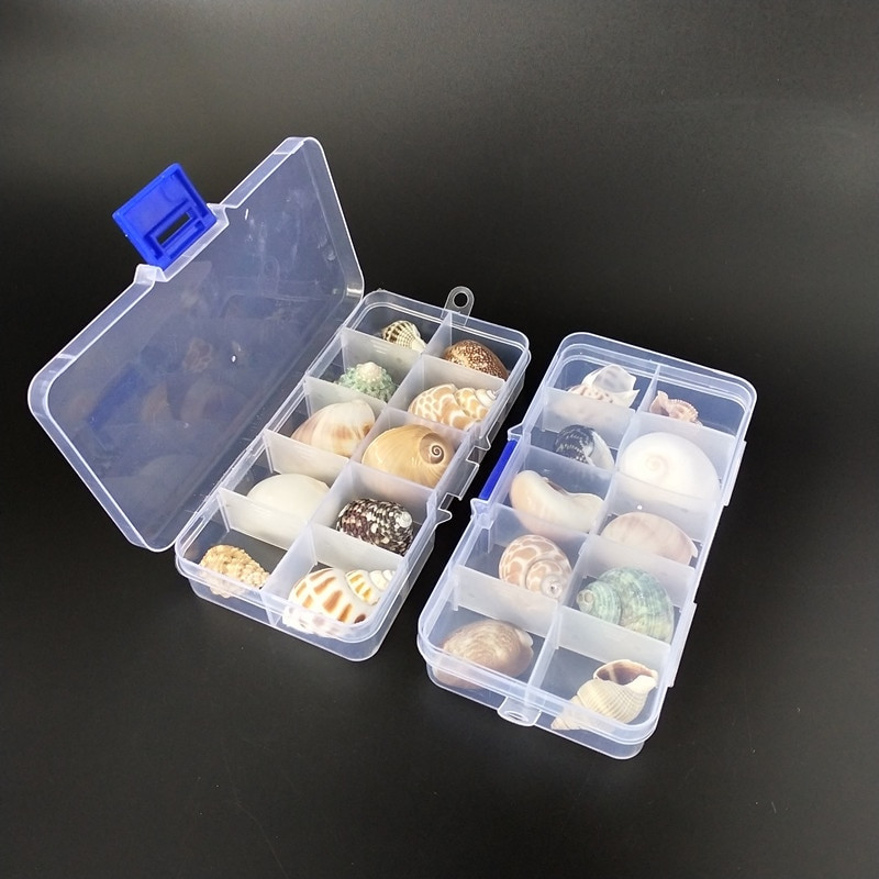 Nou fierbinte 10 buc/cutie Nume natural Cochilii de caracolai mari Șurub de porumb Decorare perete DIY Acvariu Peisaj Scoici de mare Mestesuguri petrecere