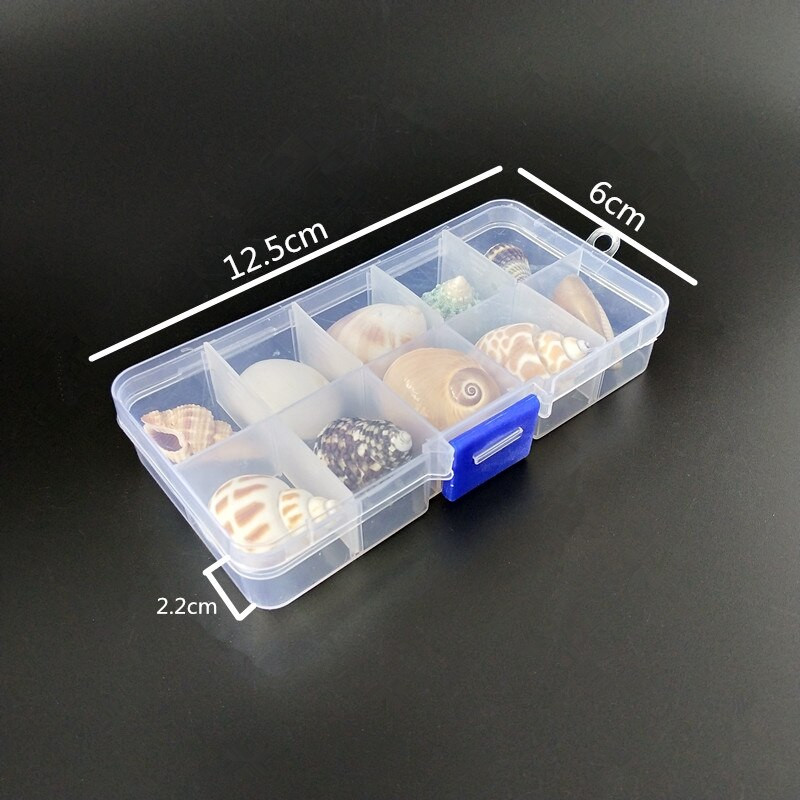 Nou fierbinte 10 buc/cutie Nume natural Cochilii de caracolai mari Șurub de porumb Decorare perete DIY Acvariu Peisaj Scoici de mare Mestesuguri petrecere