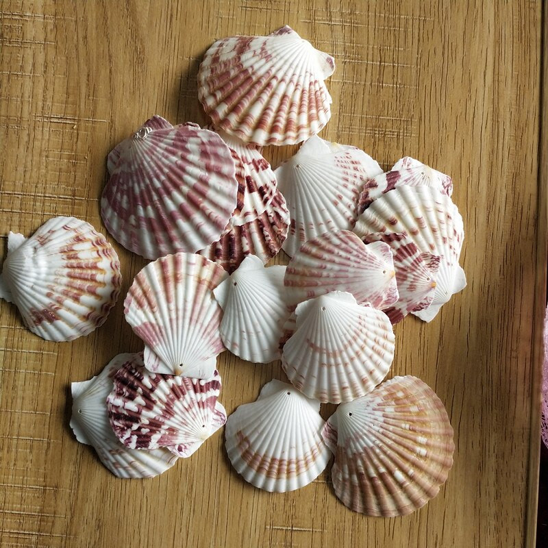 30db természetes dekoráció Beach divat lyuk Tengeri kagylók Tengeri kagylók barkácsoláshoz Caft Decor Ékszer Kézműves Kiegészítők lyukak Shell Charm