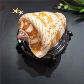 Natūrali kriauklė vaikiški žaislai peizažas kriauklė kriaukle žuvų rezervuaras Kraštovaizdžio dekoravimas platformos apdaila kraštovaizdžio kriauklė