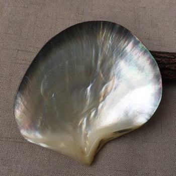 Φυσικό μαύρο Mother of Pearl Shell Craft Conch DIY Διακόσμηση σπιτιού Ενυδρείο Εξωραϊσμός τοπίου Γάμος Χειροτεχνία διακόσμησης τοπίου