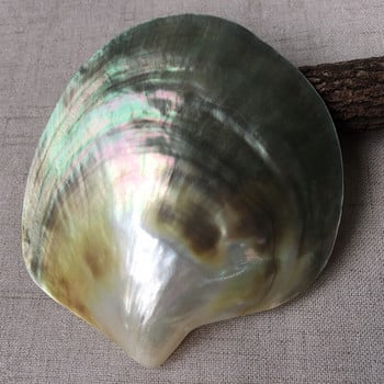 Φυσικό μαύρο Mother of Pearl Shell Craft Conch DIY Διακόσμηση σπιτιού Ενυδρείο Εξωραϊσμός τοπίου Γάμος Χειροτεχνία διακόσμησης τοπίου