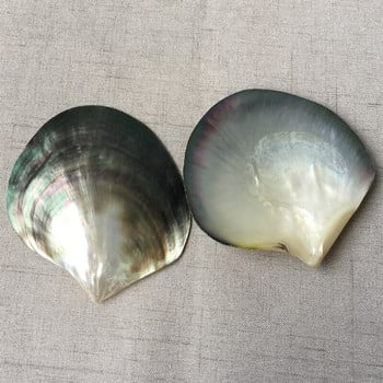 Φυσικό μαύρο Mother of Pearl Shell Craft Conch DIY Διακόσμηση σπιτιού Ενυδρείο Εξωραϊσμός τοπίου Γάμος Χειροτεχνία διακόσμησης τοπίου