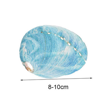 Φυσικά Starry Blue Abalone κοχύλια Θαλασσινό κοχύλι DIY Home Ενυδρείο Εξωραϊσμός Συλλεκτικά Διακόσμηση Χειροτεχνία
