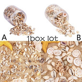 1 dėžutė Natūralus lukštas kriauklė Papuošalai Priedai Dalys Pasidaryk pats Medžiaga Papuošalai Komponentai Jūros kriauklės Paplūdimio vestuvių papuošalai