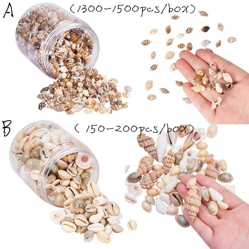 1 dėžutė Natūralus lukštas kriauklė Papuošalai Priedai Dalys Pasidaryk pats Medžiaga Papuošalai Komponentai Jūros kriauklės Paplūdimio vestuvių papuošalai