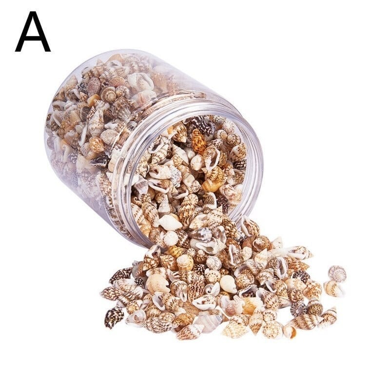 1 dėžutė Natūralus lukštas kriauklė Papuošalai Priedai Dalys Pasidaryk pats Medžiaga Papuošalai Komponentai Jūros kriauklės Paplūdimio vestuvių papuošalai