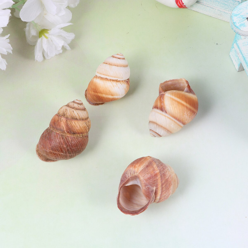 10db Natural Shells Tájkiegészítő Akváriumi díszek Tank Otthonhoz