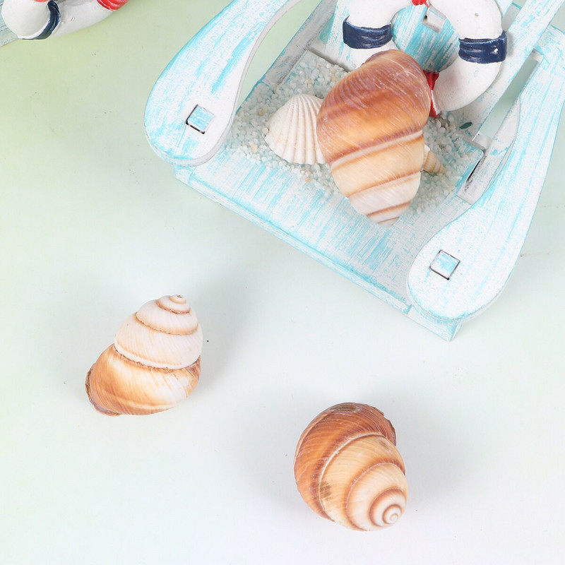 10db Natural Shells Tájkiegészítő Akváriumi díszek Tank Otthonhoz