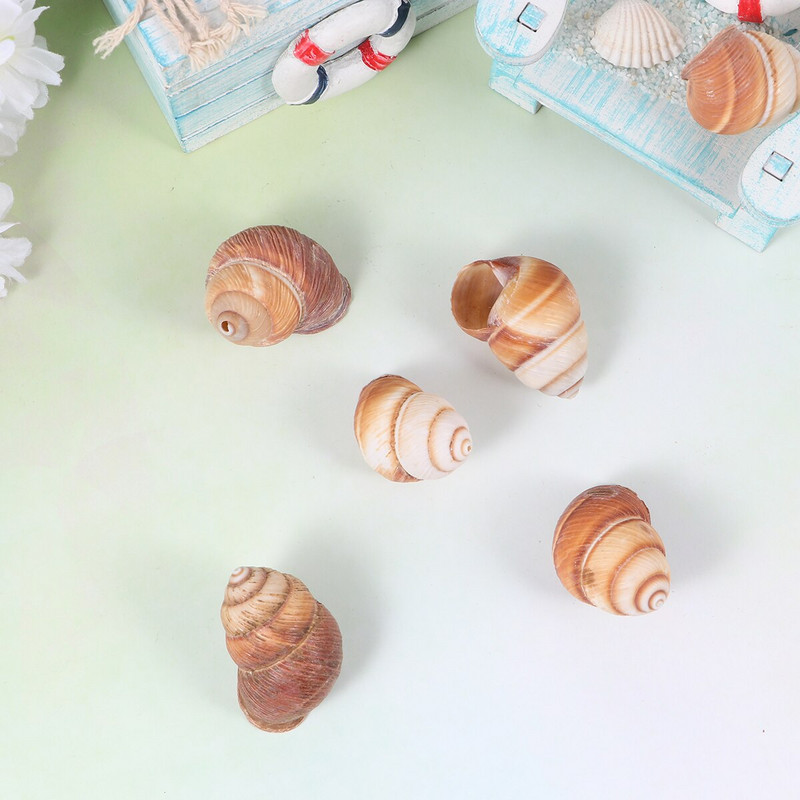 10db Natural Shells Tájkiegészítő Akváriumi díszek Tank Otthonhoz