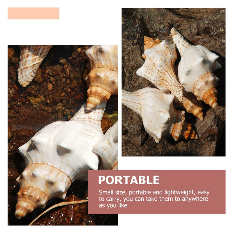 Kriauklių kriauklė Dekoracija Žuvis Akvariumo Kriauklės Kriauklės Jūros Akvariumo dekoras Vestuvės Didelės Ornamentas Jūros kriauklės Natūralūs amatai Jumbo