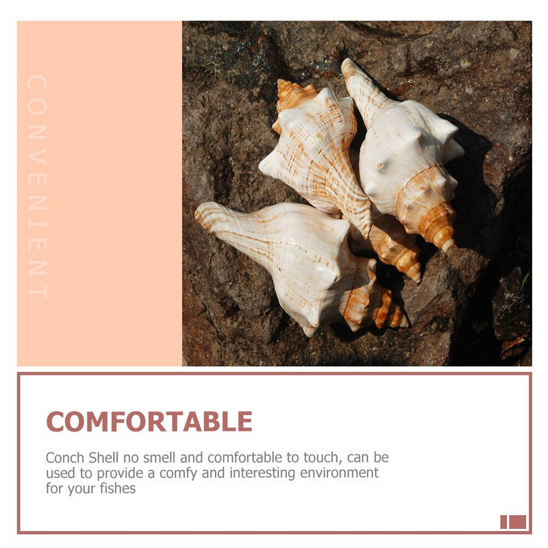 Kriauklių kriauklė Dekoracija Žuvis Akvariumo Kriauklės Kriauklės Jūros Akvariumo dekoras Vestuvės Didelės Ornamentas Jūros kriauklės Natūralūs amatai Jumbo