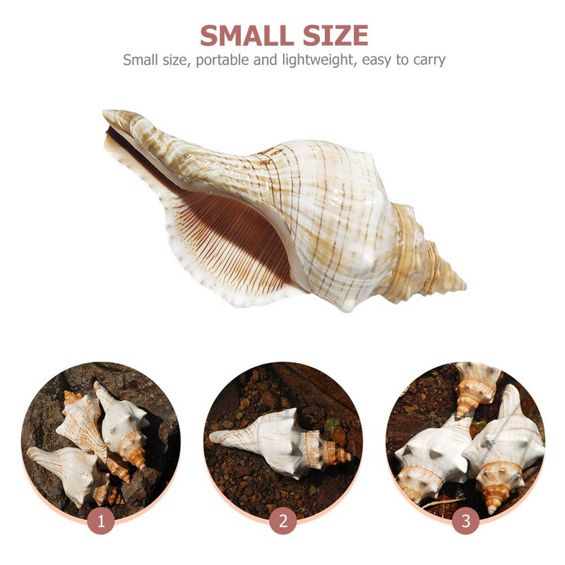 Kriauklių kriauklė Dekoracija Žuvis Akvariumo Kriauklės Kriauklės Jūros Akvariumo dekoras Vestuvės Didelės Ornamentas Jūros kriauklės Natūralūs amatai Jumbo