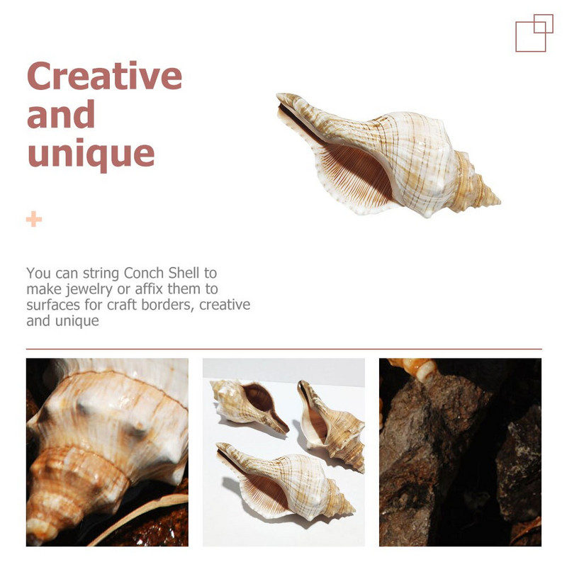 Kriauklių kriauklė Dekoracija Žuvis Akvariumo Kriauklės Kriauklės Jūros Akvariumo dekoras Vestuvės Didelės Ornamentas Jūros kriauklės Natūralūs amatai Jumbo