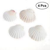 4db 9-14cm mediterrán stílusú barkácsolás Beach Seashells Natural Shells Kézműves Akvárium Tank Dekor