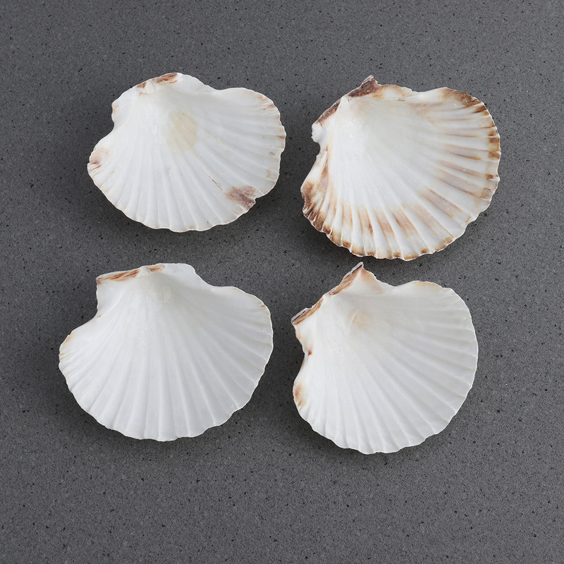 4db 9-14cm mediterrán stílusú barkácsolás Beach Seashells Natural Shells Kézműves Akvárium Tank Dekor