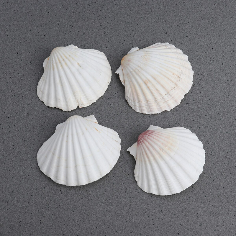 4db 9-14cm mediterrán stílusú barkácsolás Beach Seashells Natural Shells Kézműves Akvárium Tank Dekor