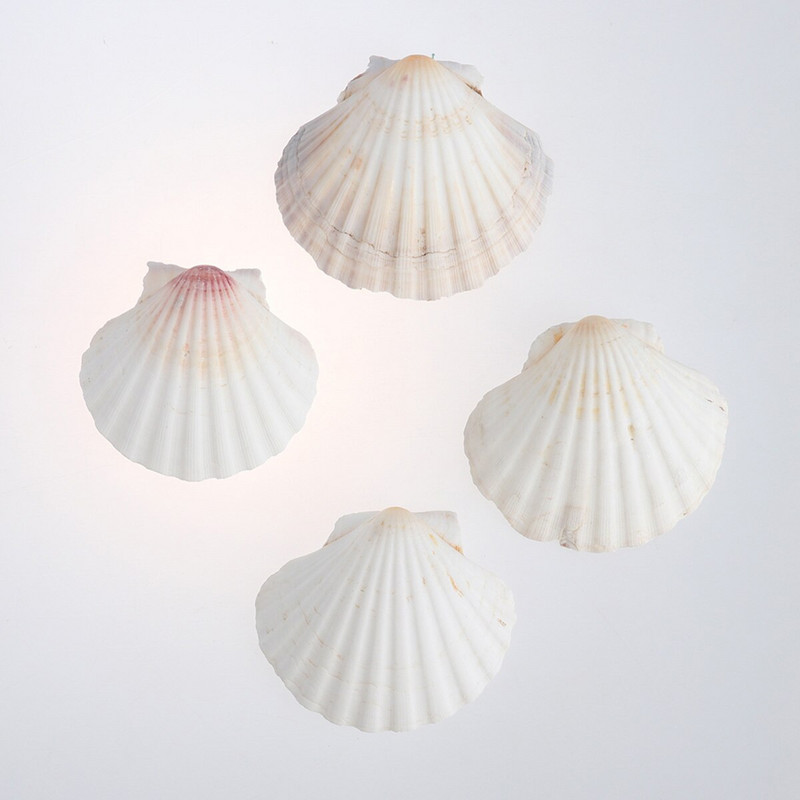 4db 9-14cm mediterrán stílusú barkácsolás Beach Seashells Natural Shells Kézműves Akvárium Tank Dekor