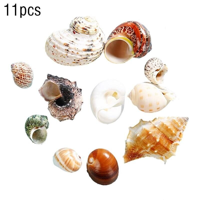 12db natúr kagyló remete rák tekercs kagyló kagyló akvárium dekor otthoni kézműves bonsai dekoráció akváriumi dísz vegyes stílusban