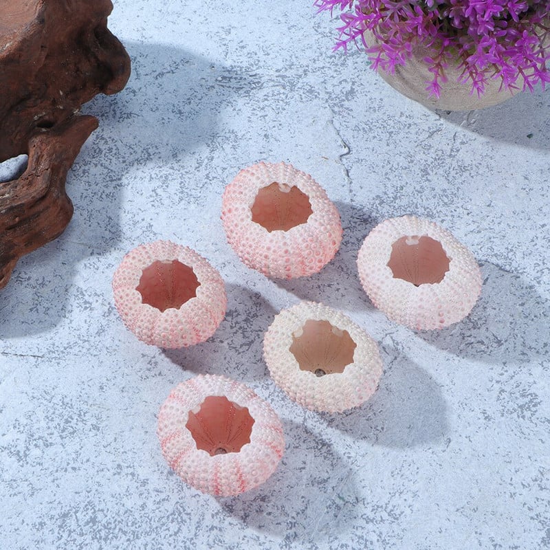 10db Süntartó Urchin Miniatűr tengeri kagylók Légnövények Urchin Urchin Decor