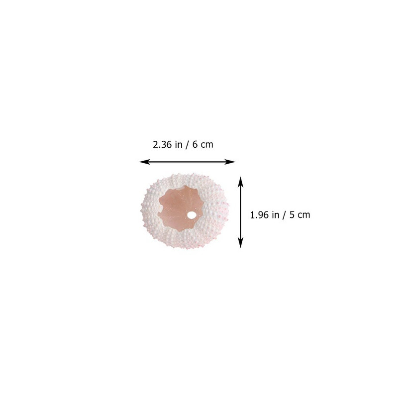 10db Süntartó Urchin Miniatűr tengeri kagylók Légnövények Urchin Urchin Decor