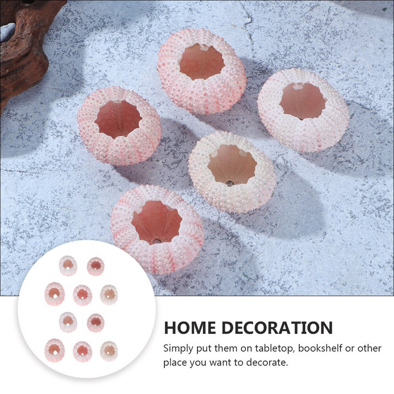 10 buc. Ocean Beach Sea Urchin Miniatura scoici Plante de aer Urchin Urchin Decor