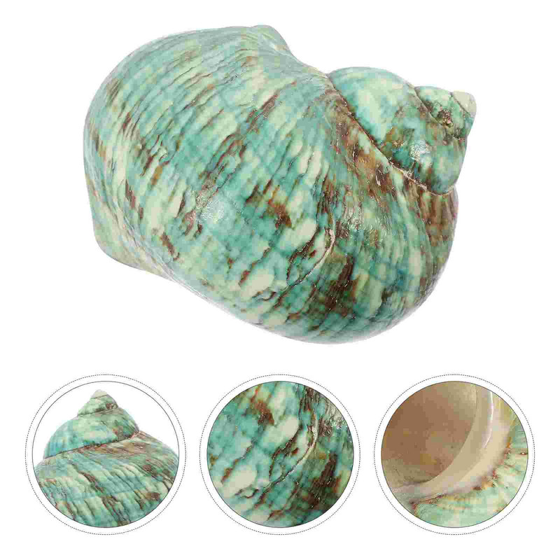 Decor de scoici Conch rezervor de pește scoici acvariu plajă ocean ornament spirală natural peisagistic scoici sculptură de mare