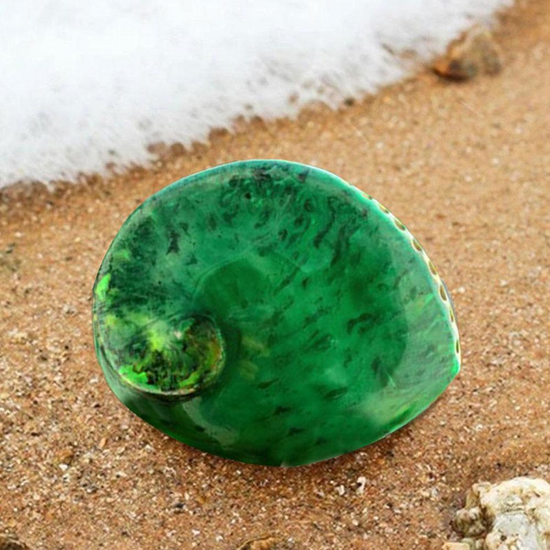 Zöld Abalone Lakásdekoráció Tengeri Akvárium Tereprendezés Kagyló Polírozott Beach Dekoráció Esküvői Otthon Természetes S De A4y7