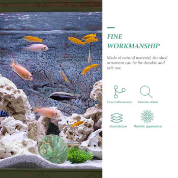 Shell Decor Conch Fish Tank Seashell Aquarium Beach Ocean Natural Spiral Στολίδι Εξωραϊσμός Θαλασσινά κοχύλια Sculpture Crafted