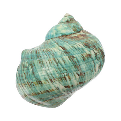 Shell Decor Conch Fish Tank Seashell Aquarium Beach Ocean Natural Spiral Στολίδι Εξωραϊσμός Θαλασσινά κοχύλια Sculpture Crafted