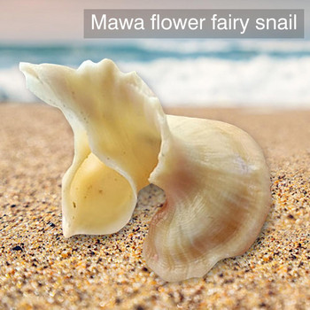 Mawa Flower Fairy Snail Conch Διακόσμηση σπιτιού Κοραλλί Στολίδι C0c7