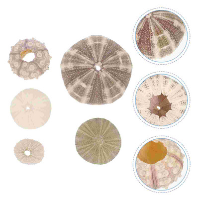 5 bucăți Artizanat Urchin Acvariu Air Ananas Ghiveci Ornamente Urchin Aranjament Floral Favoruri