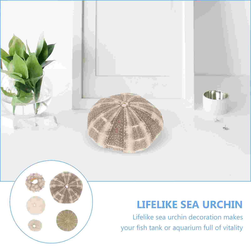 5 bucăți Artizanat Urchin Acvariu Air Ananas Ghiveci Ornamente Urchin Aranjament Floral Favoruri