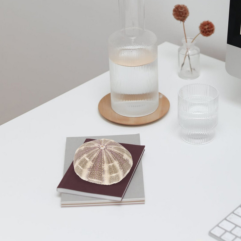 5 bucăți Artizanat Urchin Acvariu Air Ananas Ghiveci Ornamente Urchin Aranjament Floral Favoruri