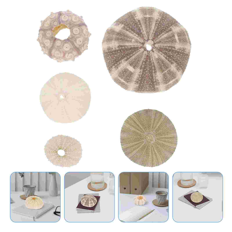 5 bucăți Artizanat Urchin Acvariu Air Ananas Ghiveci Ornamente Urchin Aranjament Floral Favoruri