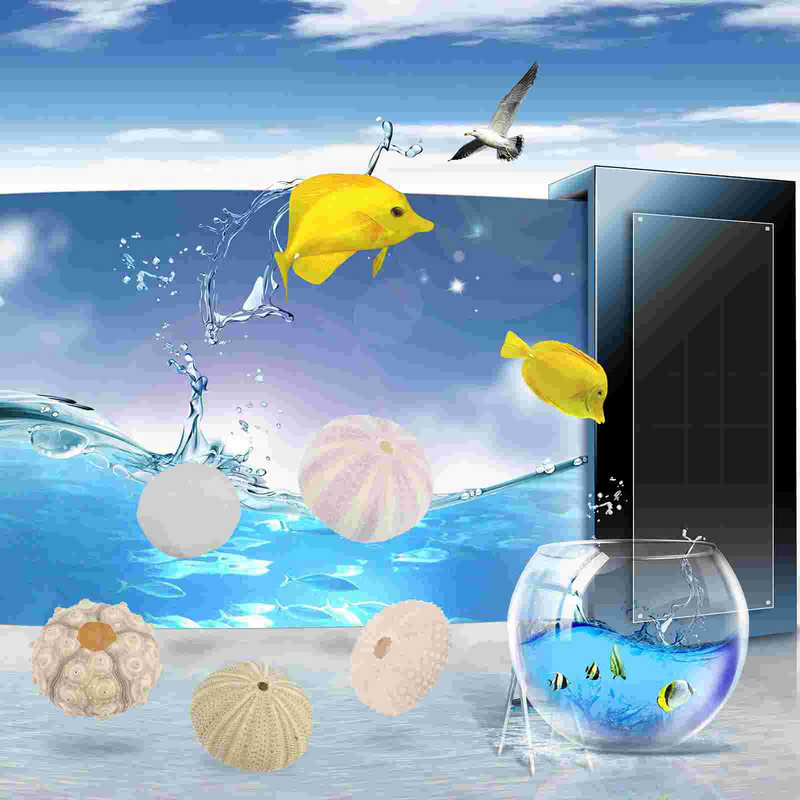 Sea Airurchin Holder Shell Planter Pot Tillandsia Seashell zamatos tengeri dekoráció Természetes virág Vasebeach Sün dekorok