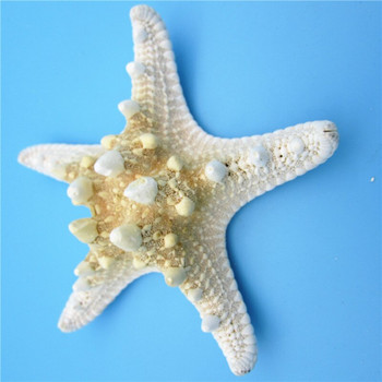 5 бр./лот занаяти бял хляб морски раковини морска звезда, модни домашни декоративни занаяти