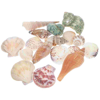 Shell Conch Sea Shells Tank Fish Aquarium Natural Seashells Craft Decoration Εξωραϊσμός Παραλία Βόγχοι Μικρές Χάντρες Ναυτικό Χύμα