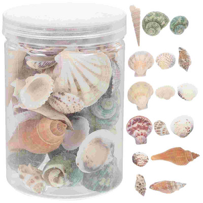 Shell Conch Sea Shells Tank Fish Aquarium Natural Seashells Craft Decoration Εξωραϊσμός Παραλία Βόγχοι Μικρές Χάντρες Ναυτικό Χύμα