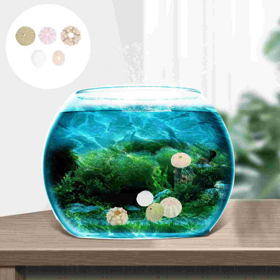 Sea Airurchin Holder Shell Planter Pot Tillandsia Seashell Succulent Nautical Decor Looduslikud lilled Vasebeach Urchins Decors