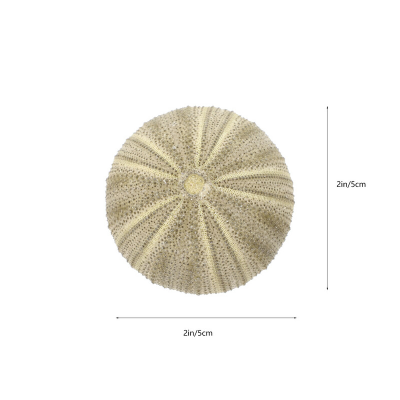 Urchin Shell Sea Airholder Függő ültető edény zamatos kagylók dekoráció természetes váza tengeri mini edények barkácsolt Ornamentterrarium