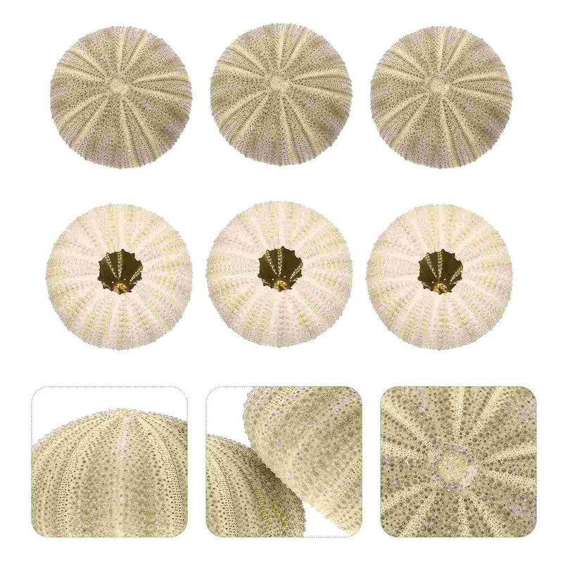 Urchin Shell Sea Airholder Függő ültető edény zamatos kagylók dekoráció természetes váza tengeri mini edények barkácsolt Ornamentterrarium
