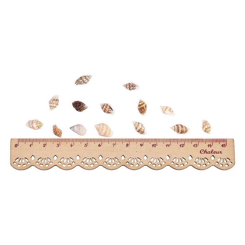 1300-1500 vnt./dėžutė Natūralus lukštas kriauklė Papuošalai Priedai Dalys „Pasidaryk pats“ Medžiaga Papuošalai Komponentai Žuvų rezervuaras Namų apdaila