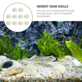 Κοχύλια Hermit Fish Crab Conch Tank Shell Διακοσμήσεις Ενυδρείο Φύση Καβούρια Στολίδια Φυσικές προμήθειες με θέμα Diy στολίζουν