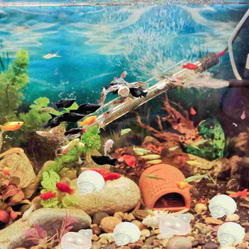 Κοχύλια Hermit Fish Crab Conch Tank Shell Διακοσμήσεις Ενυδρείο Φύση Καβούρια Στολίδια Φυσικές προμήθειες με θέμα Diy στολίζουν