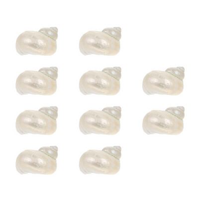 Scoici Pește pustnic Crab Conch Rezervor Decorații Shell Decor Acvariu Natură Crabi Ornamente Materiale naturale Podoaba DIY tematică