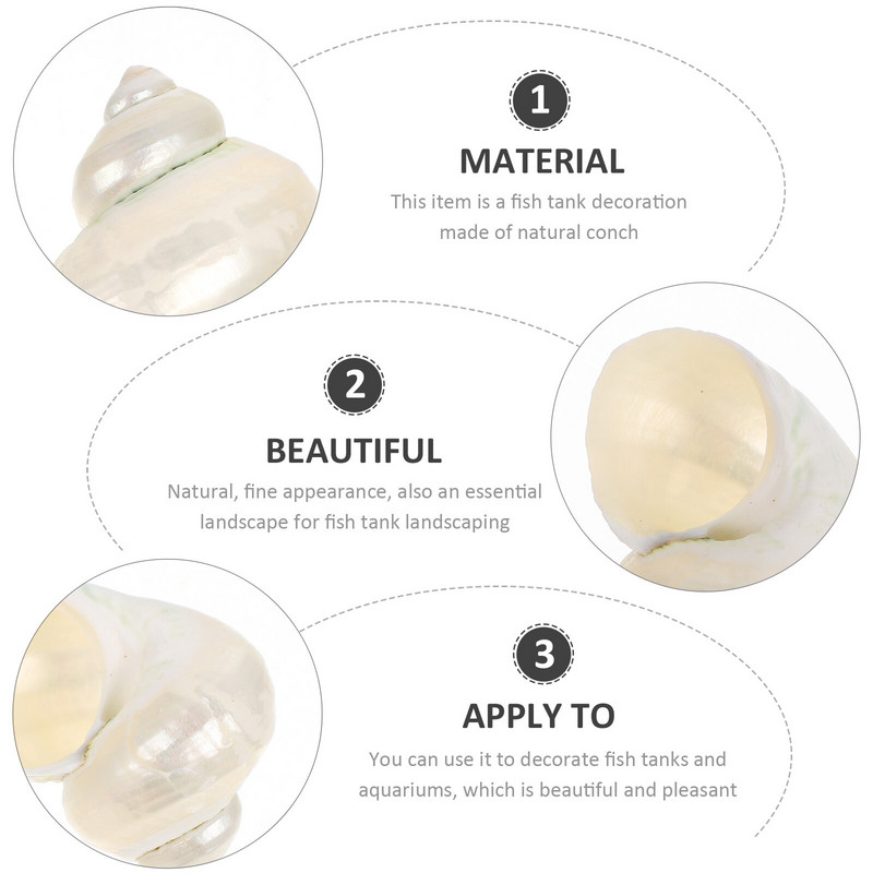 Scoici Pește pustnic Crab Conch Rezervor Decorații Shell Decor Acvariu Natură Crabi Ornamente Materiale naturale Podoaba DIY tematică