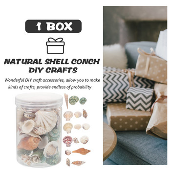 1 Κουτί DIY Landscape Tank Διακοσμητικό Conch για Δεξαμενή DIY Κοχύλια Conch για Διακόσμηση