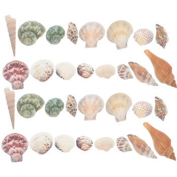1 Box Tank Landscape Decorative DIY DIY Conch Seashells For Crafting Shell for Decorating